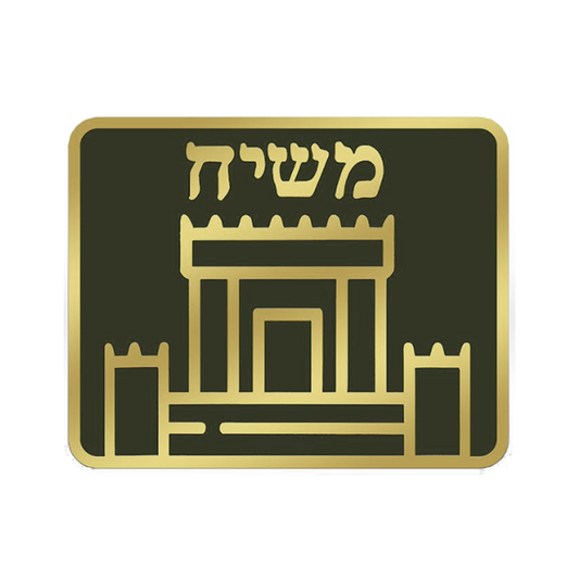 Temple Mount Lapel Pin