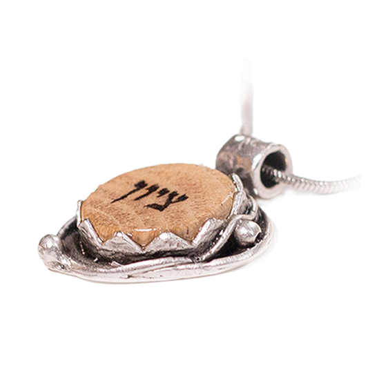 Silver Crown Necklace