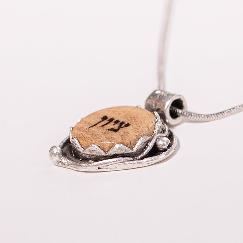 Silver Crown Necklace