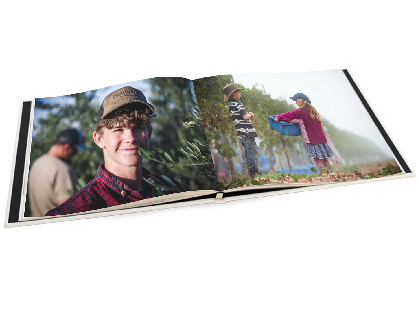 Harvest Photo Book