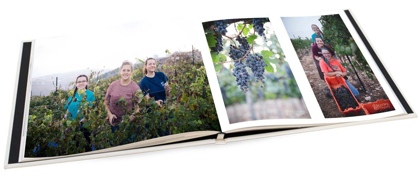 Harvest Photo Book