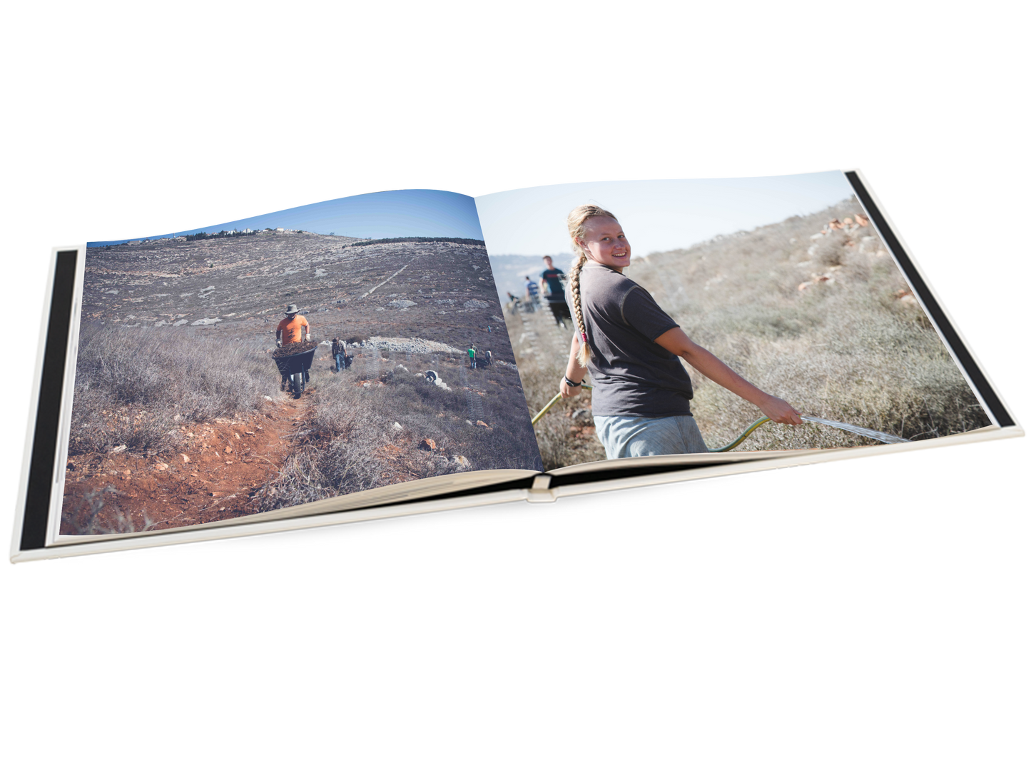 Harvest Photo Book