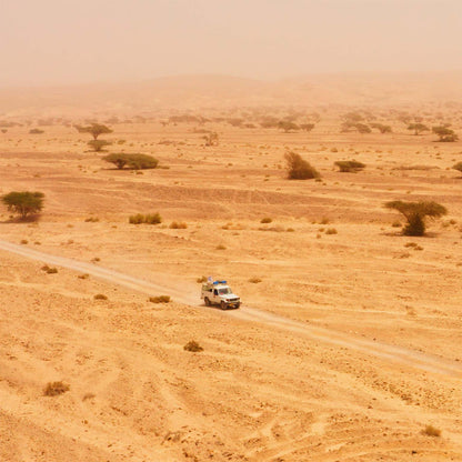 I Am Israel – The Mountain Of The King DVD