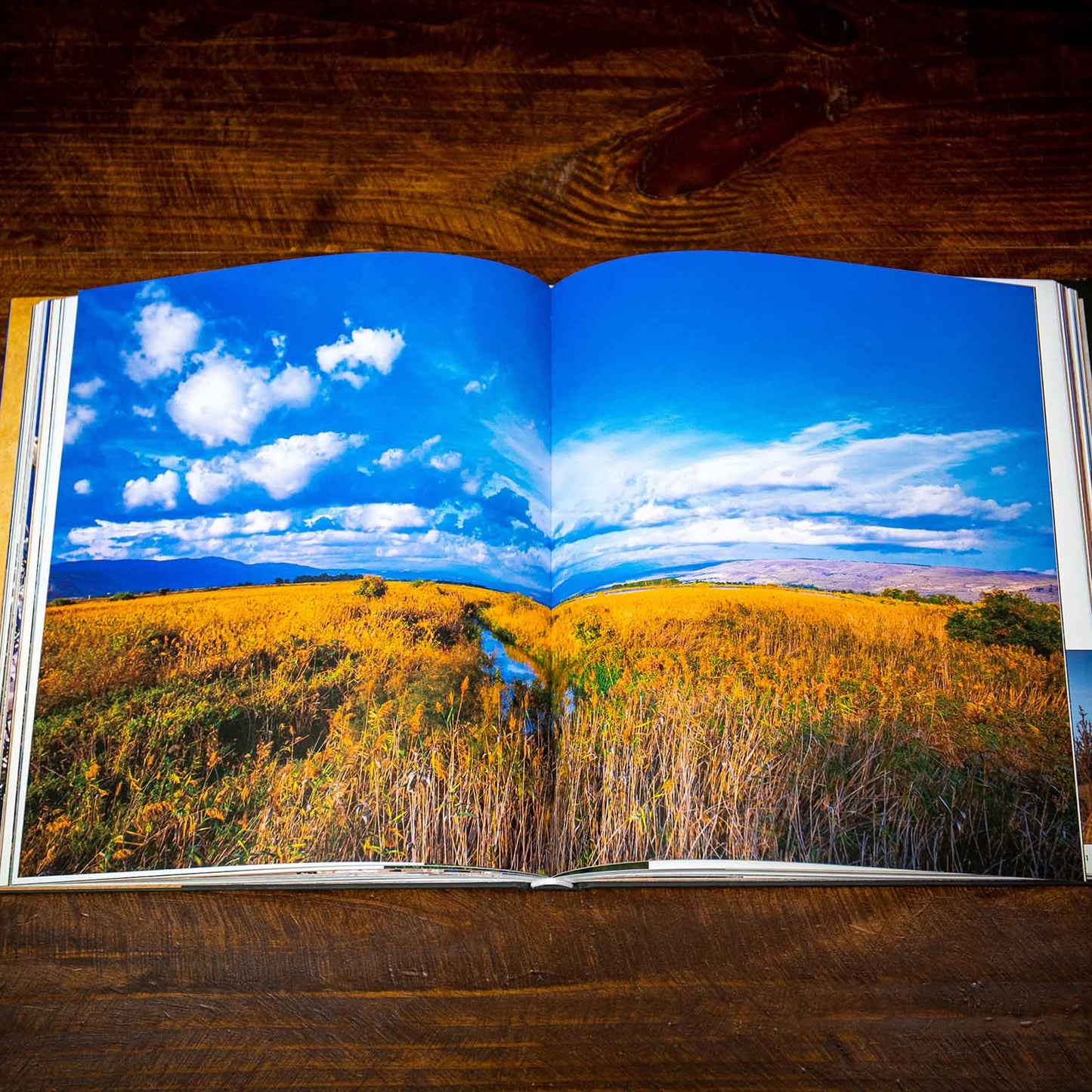 The Believer's Guide to the Rebirth of the Promised Land - Hardcover Coffee Table Book