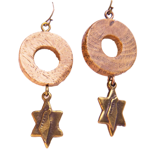 Israel Star Earrings